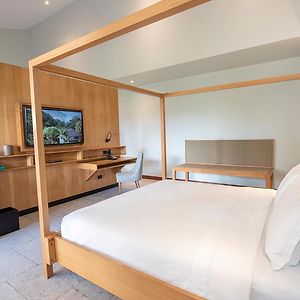Suite con Cama King