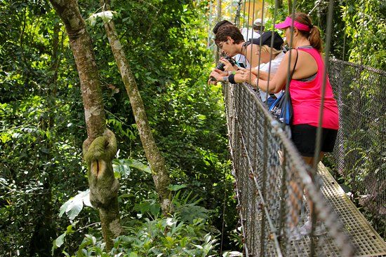 Parque Mistico Arenal Hanging Bridges